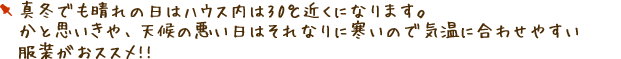 真冬でも晴れの日はハウス内は30℃近くになります。かと思いきや、天候の悪い日はそれなりに寒いので気温に合わせやすい服装がおススメ!!