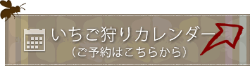 いちご狩りカレンダー（ご予約はこちら）