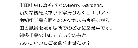 愛知県半田市・知多半島の半田中央ICからすぐのBerry Gardens（ベリーガーデンズ）.新たな観光スポット常滑りんくうエリア・南知多半島方面へのアクセスも良好ながら、田舎風景を残す場所でのどかに営業中です。知多半島の中心で広い空のもとおいしいいちごを食べませんか？