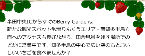 半田中央ICからすぐのBerry Gardens.新たな観光スポット常滑りんくうエリア・南知多半島方面へのアクセスも良好ながら、田舎風景を残す場所でのどかに営業中です。知多半島の中心で広い空のもとおいしいいちごを食べませんか？